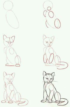 some drawings of cats sitting down and one cat is looking at the camera with its eyes closed