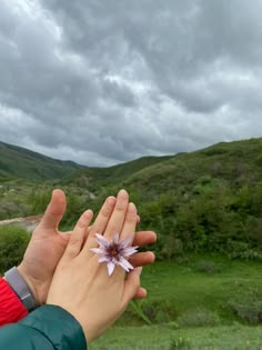 two hands reaching for a flower in the middle of a grassy field with mountains in the background