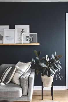 a living room filled with furniture and a potted plant on top of a table