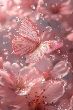 two butterflies flying over pink flowers with water droplets on the petals and bubbles in the air