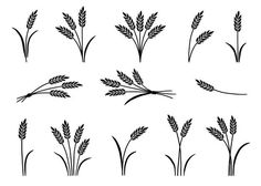 a set of black and white silhouettes of wheat stalks