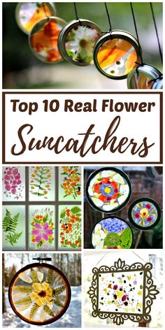 the top 10 real flower suncatchers for kids to use in their garden or yard