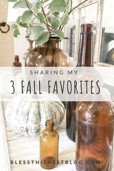 three vases with plants in them and the words sharing my 3 fall favorites