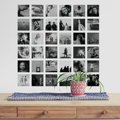 a table with a potted plant on top of it next to a wall covered in photos