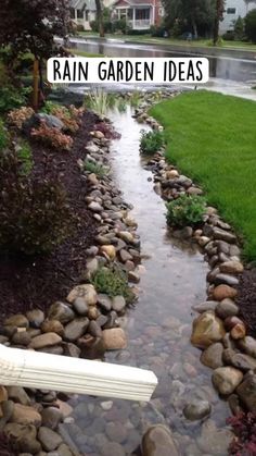 a stream running through a lush green yard