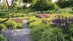 a garden filled with lots of different types of flowers