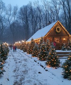 A charming Christmas tree farm filled with rows of lush evergreen trees, decorated with outdoor lights, families picking out their perfect tree, and a cozy wooden cabin selling hot cocoa and holiday treats in the distance. The Christmas Tree Farm Laurie Gilmore, Christmas Farm Aesthetic, The Christmas Tree Farm Book Aesthetic, The Christmas Tree Farm Book, Small Town Christmas Aesthetic, Tree Farm Aesthetic, Christmas Tree Farm Aesthetic, Christmas Tree Farm Wedding, Lovelight Farms