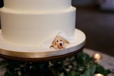 there is a cake with a dog on it