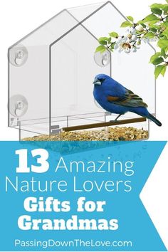 a blue bird sitting on top of a glass house with the words 13 amazing nature lovers gifts for grandmas