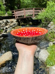 a hand holding a red and white bowl in front of a stream