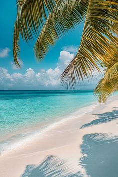 a beach with palm trees and clear blue water