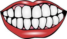 Mouth and Teeth Clipart - print out and laminate teeth for activities. Tooth brush Tooth Template, Mouth Clipart, Teeth Clipart, Teeth Clip, Tooth Cartoon, Teeth Pictures, Sikat Gigi, Health Activities, Oral Health Care