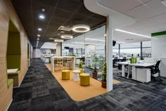 an office with green and yellow chairs, desks and plants in the middle of the room