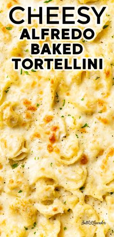 cheesy alfredo baked tortelli on a white plate