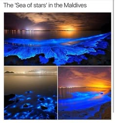 the sea of stars in the maldives is glowing blue and orange at night