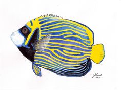 a drawing of a blue and yellow fish with white stripes on it's side