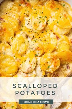 Savory Scalloped Potatoes baked in a rich, creamy cheese sauce with bacon makes the perfect side dish for any favorite meal and is a delightful addition to any holiday spread! Scallop Potatoes, Creamy Cheese Sauce, Potatoes Baked, Sprout Recipes, Scalloped Potatoes, Crumb Topping