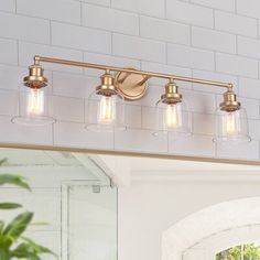 a bathroom vanity with three lights and a mirror on the wall next to a potted plant