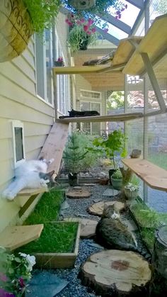 a white cat laying on top of a wooden bench next to a tree stump in a yard