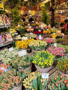 several baskets filled with flowers on display in a store