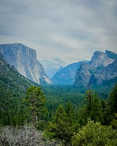 the valley is surrounded by mountains and trees