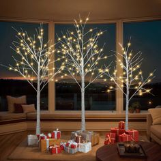 lighted trees in living room with presents under the tree at christmas time by large window