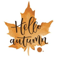 the phrase hello autumn written in black ink on an orange maple leaf with watercolor stains