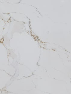 a white marble counter top with gold veining