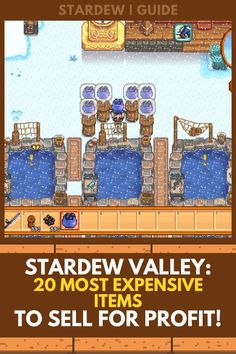 an image of a video game with the title stardew valley 20 most expensive items to sell for profits