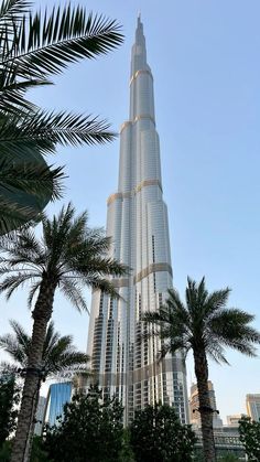 the tallest building in the world is surrounded by palm trees