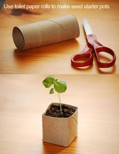 the instructions for how to make a toilet paper roll planter