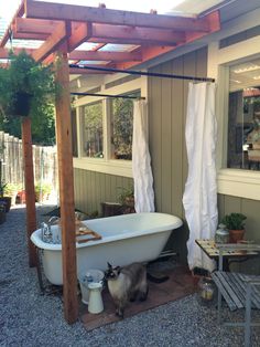 a cat is sitting under an outdoor bathtub