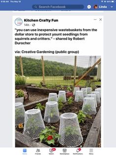 a screen shot of a facebook page with an image of several wire baskets in the garden