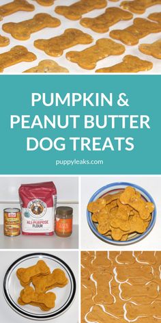 pumpkin and peanut butter dog treats with text overlay that reads pumpkin and peanut butter dog treats