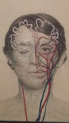 a drawing of a man's face with multiple branches attached to it