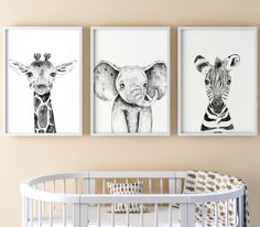 two black and white pictures of giraffes, an elephant and a zebra