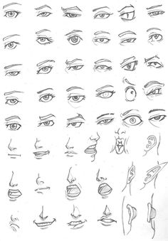 an image of various types of eyes and nose sketches for the character's face