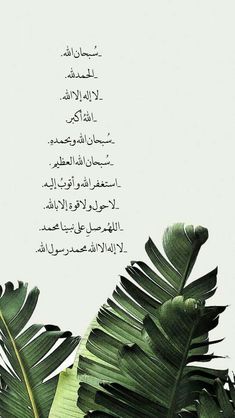 the words are written in two languages on a white background with green leafy plants