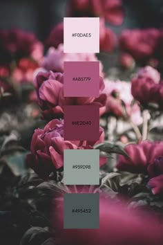 some pink flowers are in the middle of purple and green colors with text that reads foddes