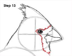 a drawing of a fish with the words step 13 on it's back side