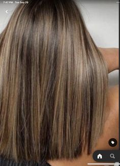 Brunette Hair With Highlights, Brown Hair With Blonde Highlights, Brown Hair Balayage, Brown Blonde Hair, Hair Color Balayage, Hair Inspiration Color, Hair Inspo Color, Light Hair, Brown Hair Colors