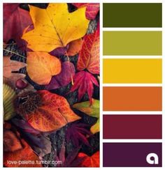 an image of autumn leaves and colors in the color palettes for this fall season