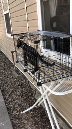 a black cat in a cage on the side of a house