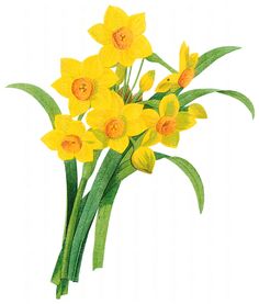 a painting of yellow daffodils with green leaves on a light colored background