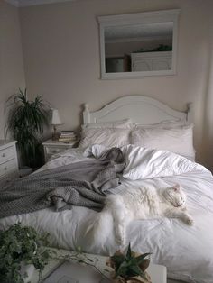 a white cat laying on top of a bed next to a plant in a vase