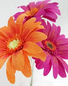 three orange and pink flowers in a vase