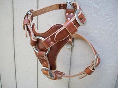 a brown leather horse bridle on a white wooden wall