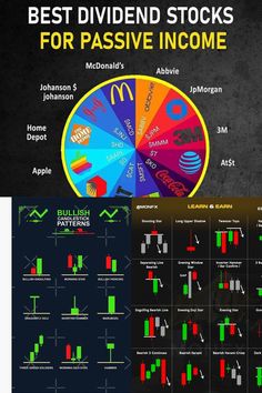 the best divided stocks for passive income infographical chart on dark background with text below