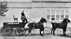 an old black and white photo of two horses pulling a carriage