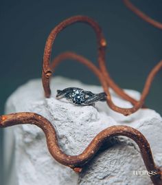 a close up of a ring on top of a rock with a snake's tail